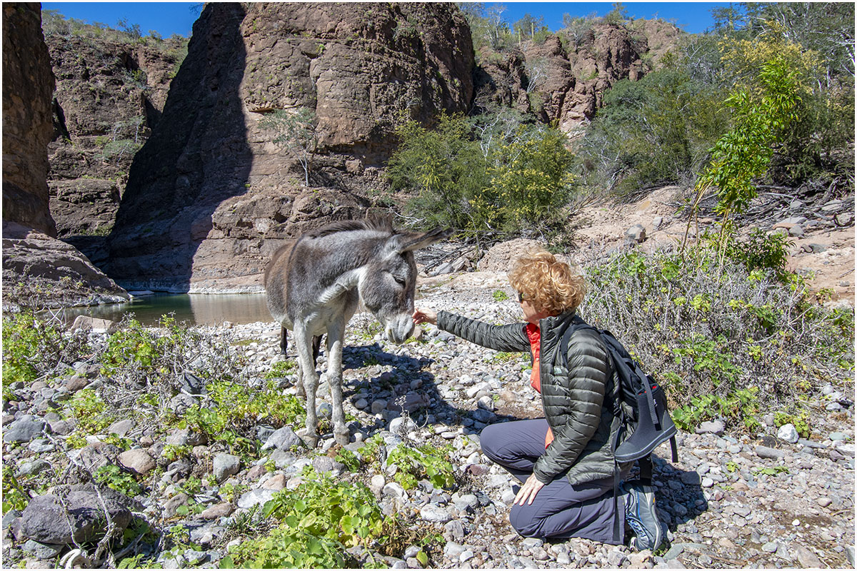 Baja-California Mexico 2002